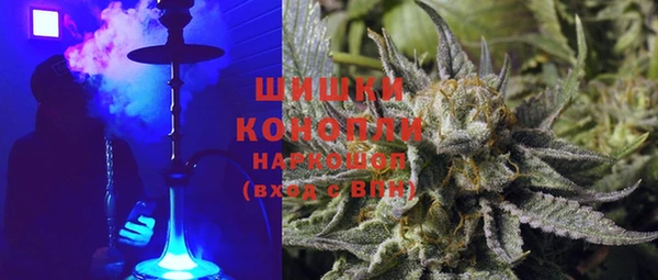 крисы Аркадак