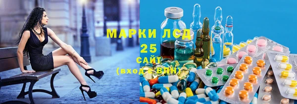 крисы Аркадак