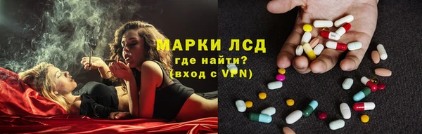крисы Аркадак